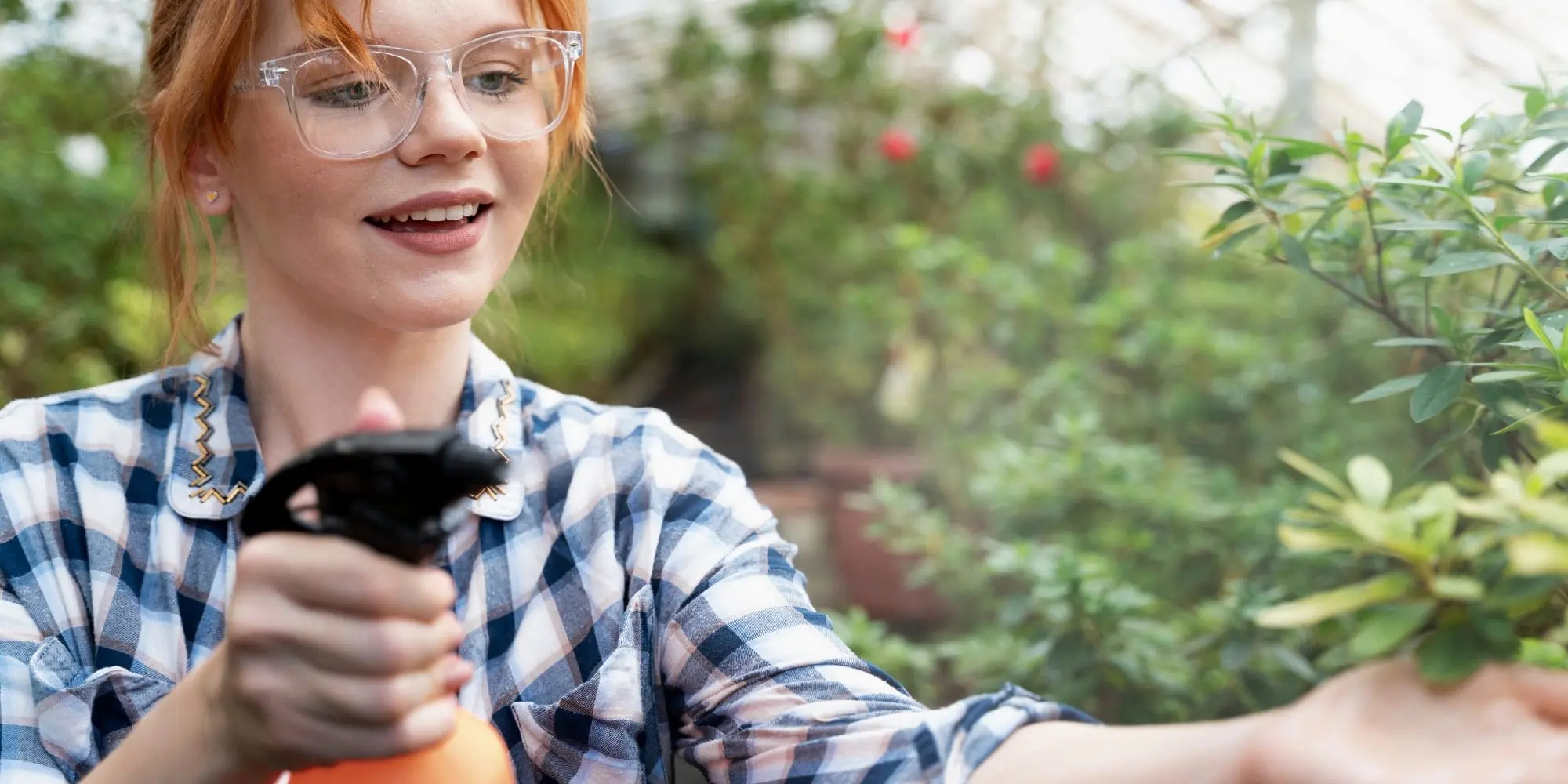 que faire contre les limaces et escargots au jardin​