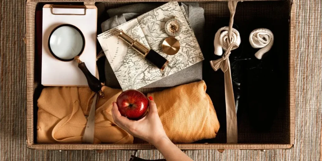 Contenu de La Box Voyageuse 