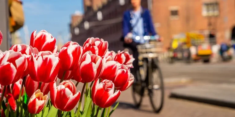 Road-trip-belgique-pays-bas