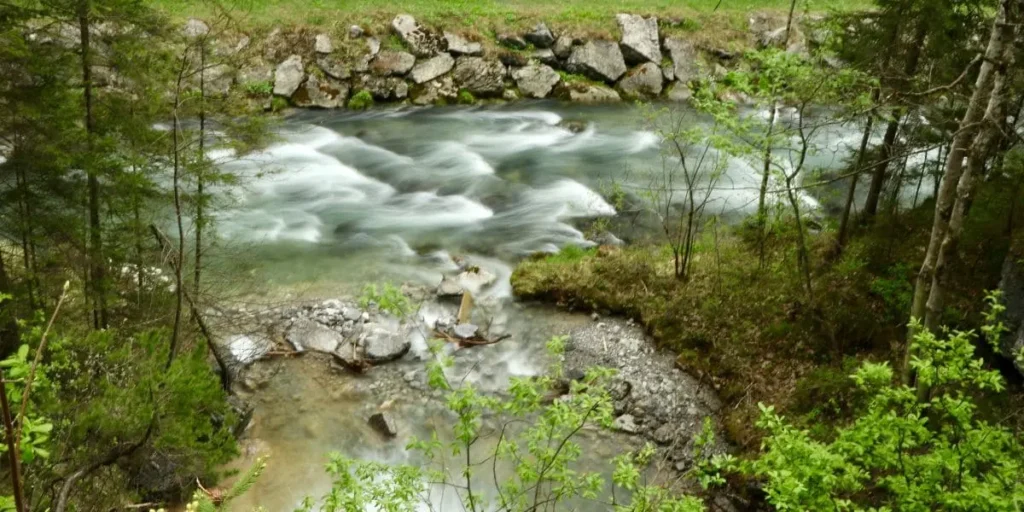 Nature et forêt corse